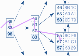 Recherhe dans un _B-Tree_, [Source](https://use-the-index-luke.com/sql/anatomy/the-tree)