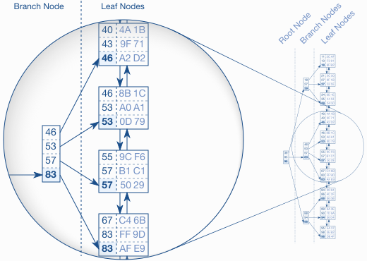 Vue générale d'un _B-Tree_, [Source](https://use-the-index-luke.com/sql/anatomy/the-tree)